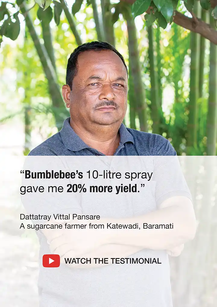 Farmer testimonial from Dattatray Vittal Pansare