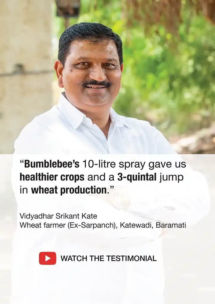 Farmer testimonial from Vidyadhar Srikant Kate